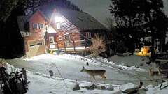 3: Dan & Leannes Sunapee winter scene